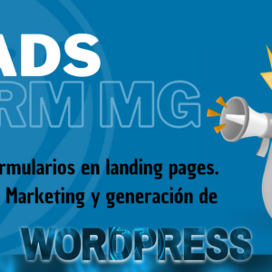 👨🏻‍💻 LeadsFormMG - Plugin WP